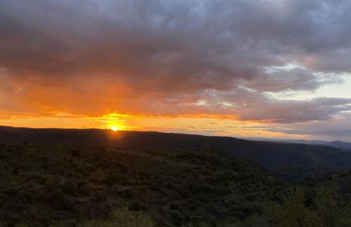 El Abigero II - Foto 40