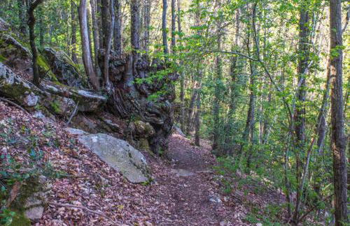 Ca la Pauleta - Foto 57