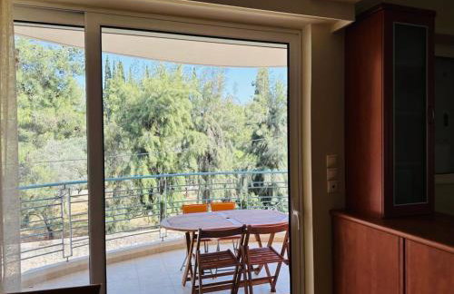 Ευρύχωρο Διαμέρισμα Χαλάνδρι - Foto 7