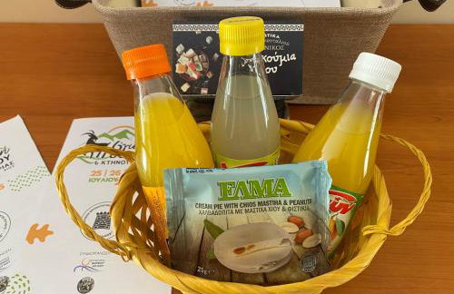 Terry Studio - Foto 42