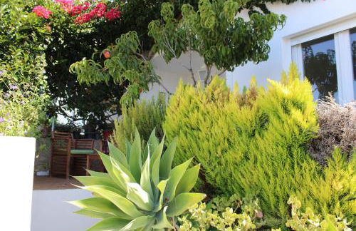 Casa Colorida - Foto 6