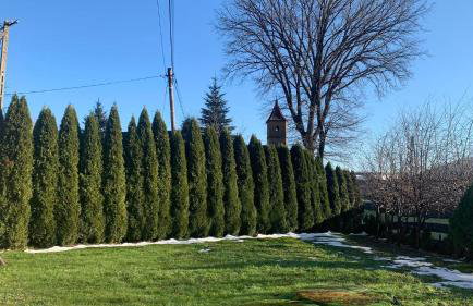 Apartament Borowik - Foto 13