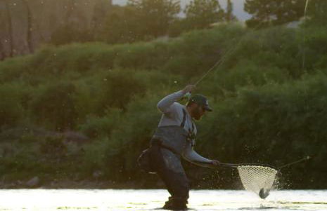 Shorehouse Hotel - Foto 19