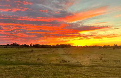 Tinyhouse WeserNest - Foto 12