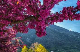 Pisogne new apartment - Foto 49