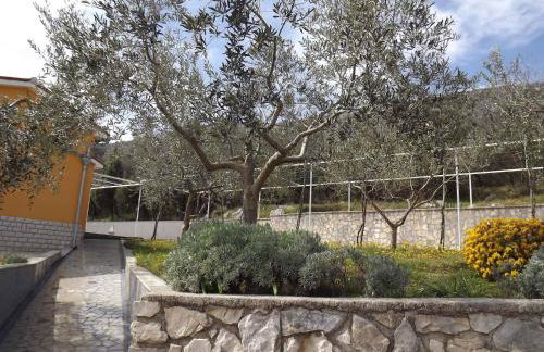 Apartments in Ravni - Istrien 30383 - Foto 3