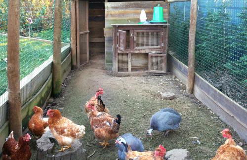 Herdade do Kuanza - Foto 160