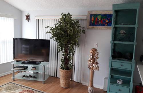 Florida Condos on Lake Tarpon - Foto 63