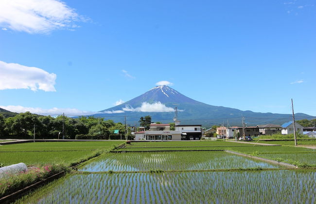 Villa Ururun Kawaguchiko - Photo 36