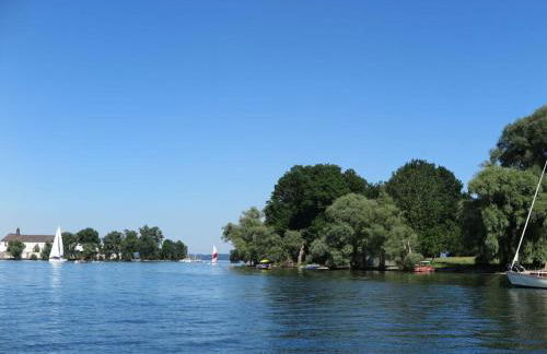 Dennenboomdroom - Foto 43