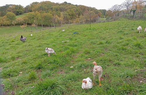 Gîte Le Breuil en Périgord - Charme et Confort - FR-1-653-269 - Foto 32