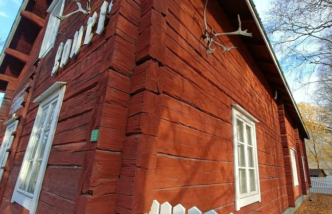 LAURI Historical Log House Manor - Photo 53