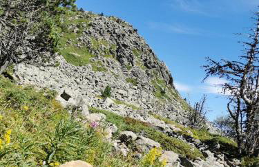L'Oustalet Des Gorges d'Ardèche Wifi et Canal Plus - Foto 30