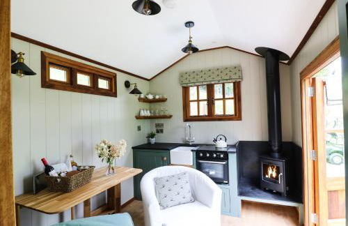 Little Silver Pheasant - Foto 8