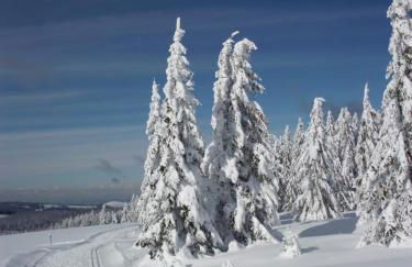 Schöne Aussicht - Foto 41