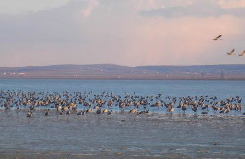 Casas rurales LA LAGUNA y LA BUHARDILLA DE LA LAGUNA - Foto 55