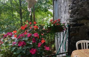 Grande maison cévenole authentique - Foto 10