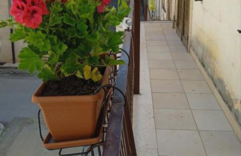 B&B La casa dell'ospite - Foto 15