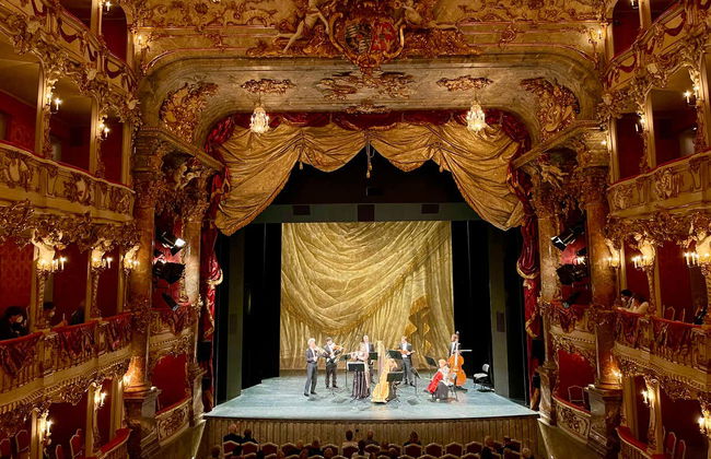 Concert de musique classique au Théâtre Cuvilliés - Photo 6