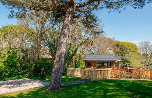 The Spinney Treehouse Park Facilities - Photo 10