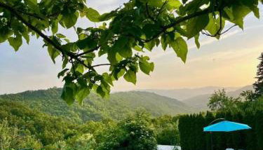 Villa Viera for 12 people in Central Istria with private pool & pet friendly - Foto 5