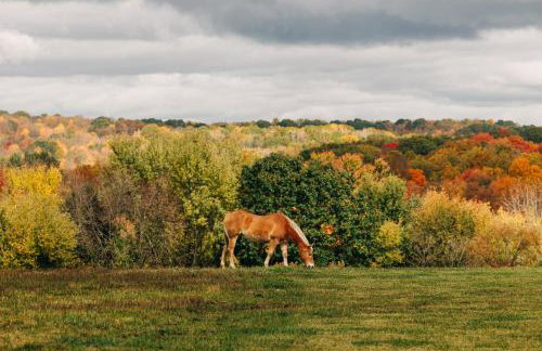 Downtown Escape Great for large families & groups - Foto 15