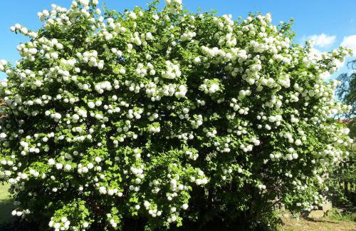 Agroturystyka "JAGAP" OAZA SPOKOJU - Foto 41