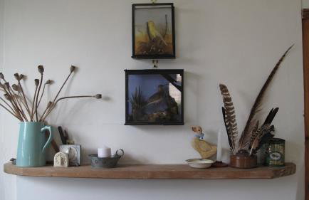 Spacious garden, 3 Bedroom family cottage in Dorset - Foto 42