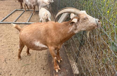 Peaceful & Cozy 3 bedroom Ranch-Home w/Fireplace - Foto 31