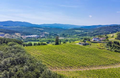 Holiday Home Il Poggetto by Interhome - Foto 3