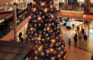 Green House - Foto 20