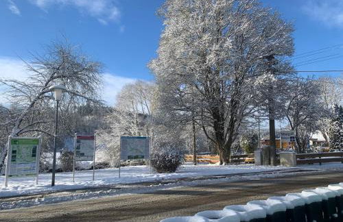 Schwarzwaldperle - Foto 34