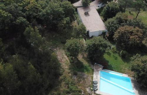 Trebid'Ouro - Foto 7