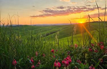 Crete Senesi House by FrancigenaApartments - Foto 17