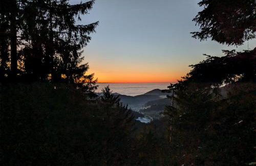 Badischer Neubau-Ruhe-Kunst-Natur - Foto 29