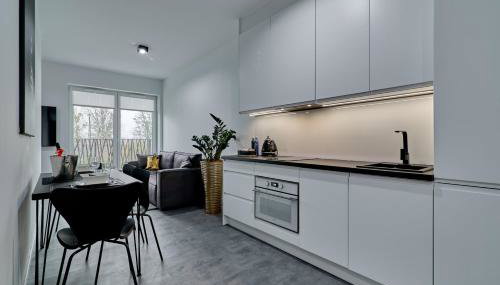 Apartament Sztuk Pięknych 4 - Foto 3