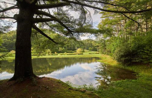 Valley Farmhouse Retreat - Foto 45