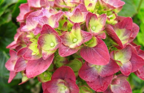 Quinta Da Bela Vista - Photo 52