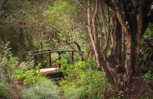 Casa Saltara - Foto 73