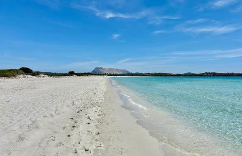 ISS Travel, Casa Smeraldo 10 beds, wonderful view of the gulf of San Teodoro - Photo 21