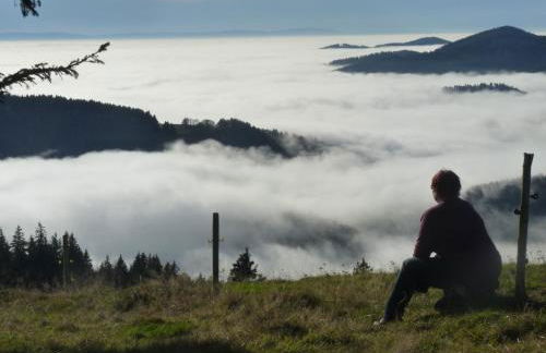 Haus zur Eule - Foto 29