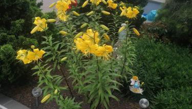 Ferienwohnung Gabry - Foto 5