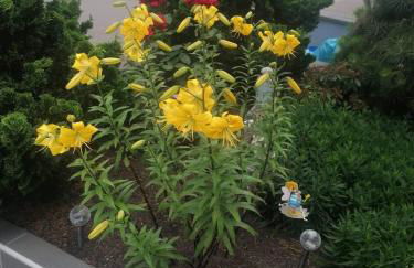 Ferienwohnung Gabry - Foto 5