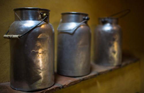 Agriturismo Borg da Ocjs - Photo 13