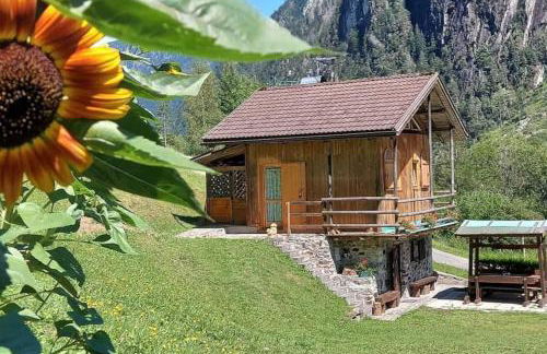 Maso Brunetto - Foto 1