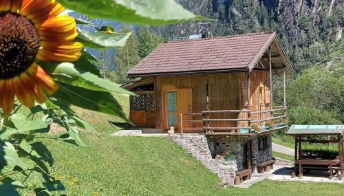 Maso Brunetto - Foto 1