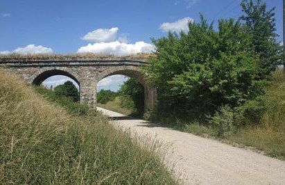 Widny Jaś zaprasza z psem nad jezioro na Kaszubach - Foto 42