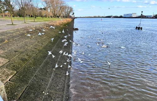 Weserblick Hafen-Apartment-Bremen - Foto 46