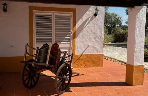 Montinho do Poço - Photo 20