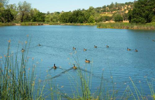 Ranch Stay-A 240 acre Working Ranch - Foto 66